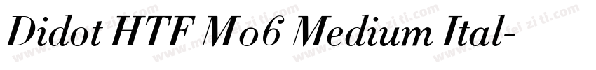 Didot HTF M06 Medium Ital字体转换